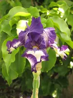 IMG_8282.webp IMG_8282.webp