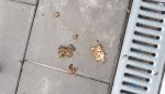 IMG-20180523-WA0004.jpg