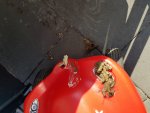 20180522_094356.jpg
