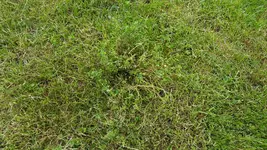 20180523_104007.webp 20180523_104007.webp
