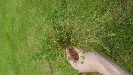 20180523_104031.webp 20180523_104031.webp