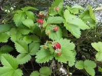 BILD9616.webp