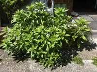 BILD9606.webp