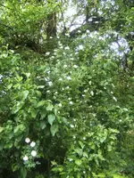 BILD9614.webp