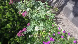 20180521_125806[1].webp