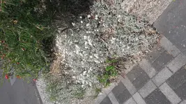 20180521_125820[1].webp