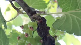 20180523_172042[1].webp