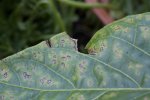 2018-05-23-095157-balkon.jpg