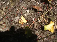 BILD9619.JPG
