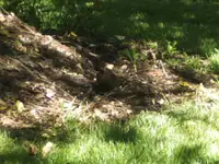 BILD9566.webp