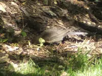 BILD9575.webp