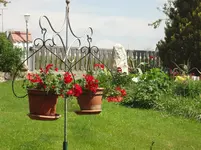 DSC02947.webp