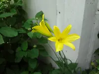 DSC02948.webp