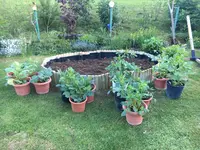 IMG_0510(1).webp