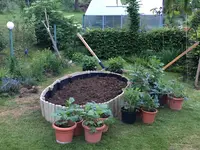 IMG_0517(1).webp