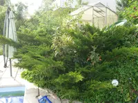 P1130328.webp P1130328.webp