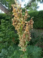 DSCF1088 (2).webp