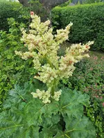 DSCF1023 (2).webp
