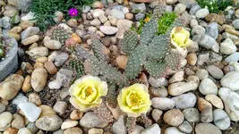 IMG_20180523_144814530.webp