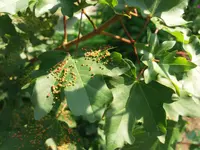 20180521_183319.webp