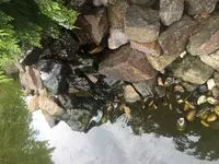 A395F1F8-63D2-4F5E-90EA-A2F800608747.webp A395F1F8-63D2-4F5E-90EA-A2F800608747.webp