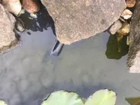 F9F0C47A-7175-4E4F-B1DD-41360AAB4F05.webp F9F0C47A-7175-4E4F-B1DD-41360AAB4F05.webp