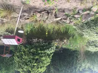 83B51076-416F-4978-AA84-EBEC1296F76D.webp 83B51076-416F-4978-AA84-EBEC1296F76D.webp