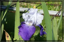 comp_DSC05519.webp