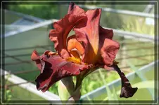 comp_DSC05518.webp