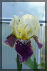 comp_DSC05521.webp