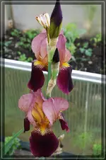 comp_DSC05522.webp