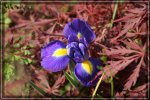 comp_DSC05529.jpg