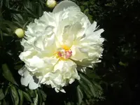 BILD9617.webp