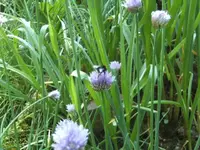 BILD9581.webp