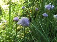 BILD9584.webp