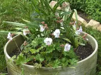 BILD9631.webp