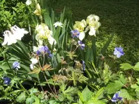 BILD9564.webp