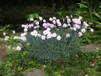 BILD9647.webp
