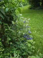 BILD9649.webp
