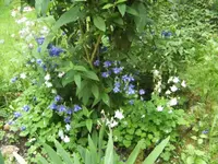 BILD9650.webp