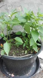 IMG_20180518_150811.webp