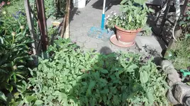 IMG_20180523_170142.webp