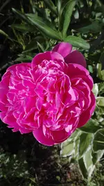 IMG_20180523_171103.webp