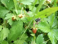 IMG_20180525_094410.webp