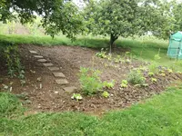 IMG_20180525_094155.webp