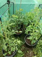 IMG_20180525_094803.webp