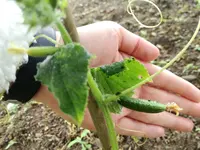 IMG_20180525_094553.webp
