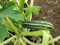 IMG_20180525_094613.webp