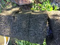 AFA70D19-F525-4DDD-9ED2-73979EA93539.webp AFA70D19-F525-4DDD-9ED2-73979EA93539.webp