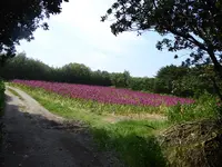 P1070566.webp
